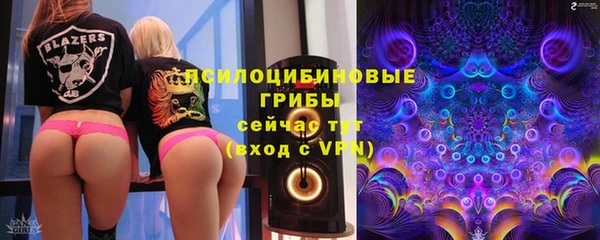 сатива Алексин