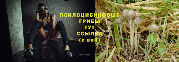 сатива Алексин
